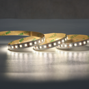 Fita LED 2835 ODDA - Nordecor