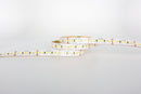 Fita LED NOR 2835 168 leds/m DC24V IP66 Termo Retrátil - Nordecor
