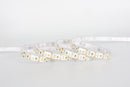 Fita LED NOR 2835 180 leds/m IP66 com Sistema Termo Retrátil - Nordecor